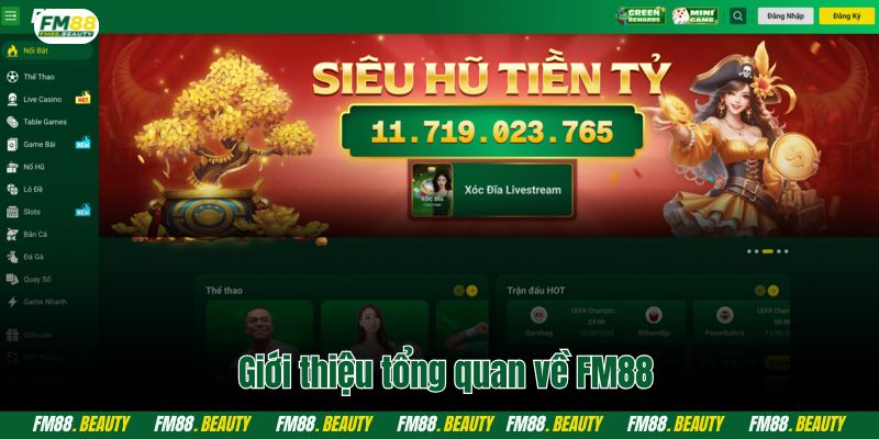 Giới thiệu tổng quan về FM88